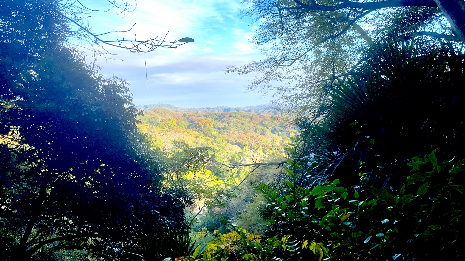 神社と富士山のパノラマ