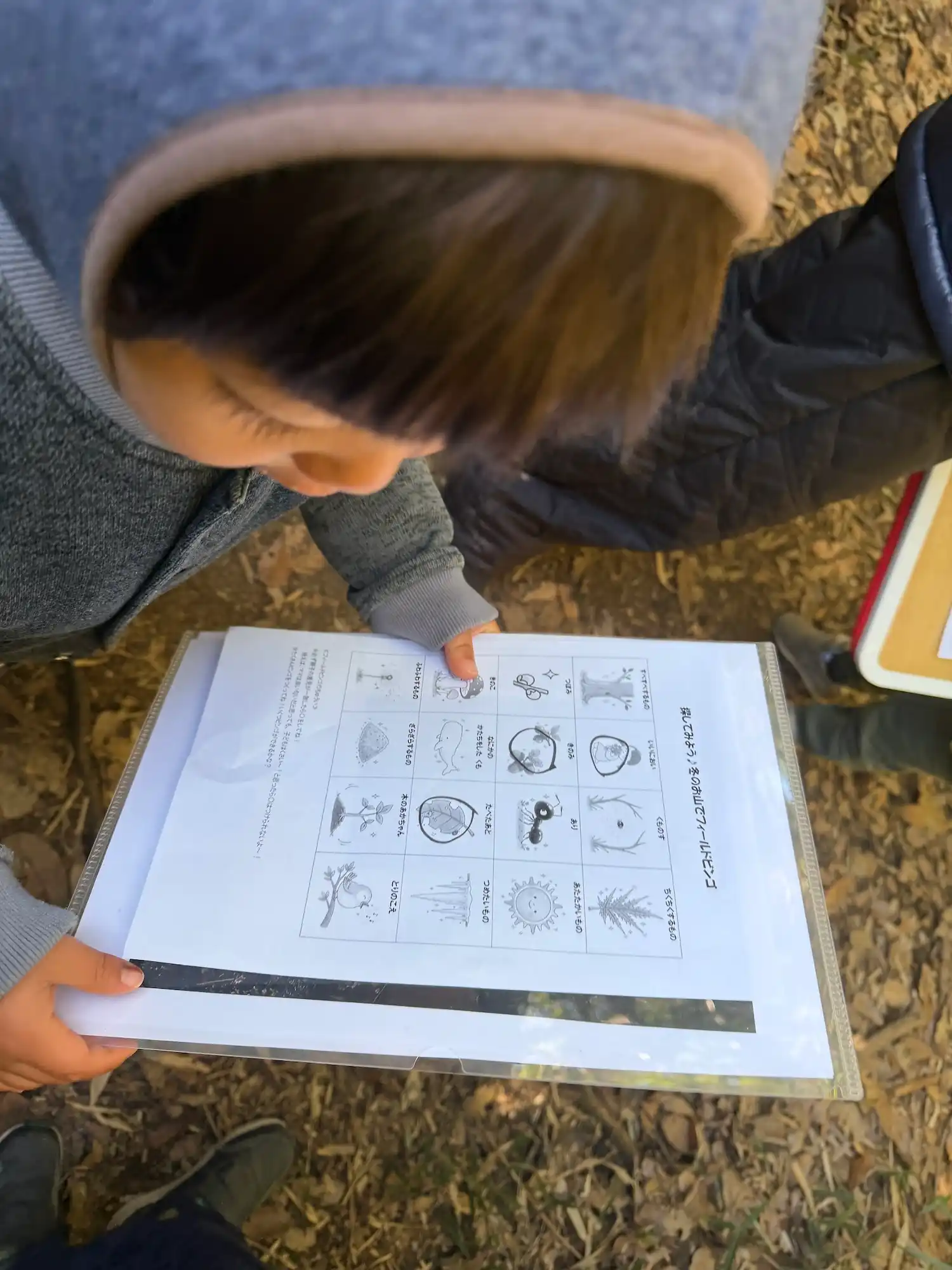 ネイチャーゲーム